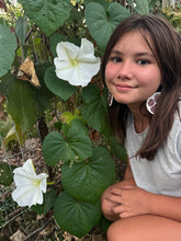 Moonflower