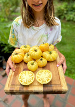 Tomato (Spanish White Tomato)