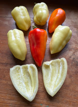 Pepper (Cecei Sweet Pepper)