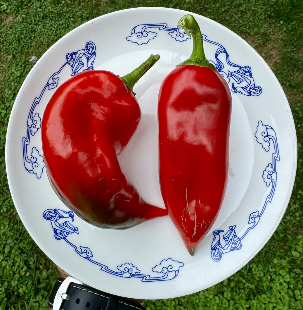 Pepper (Sweet Balkan Pepper)