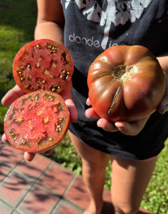 Tomato (Red Trash Panda Tomato)