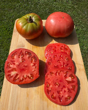 Tomato (Abanillas Spanish Tomato)