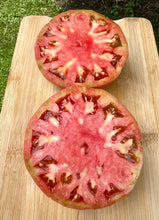 Tomato (Hazel Creek Tomato)