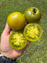 Tomato (Bananas Noire Tomato)
