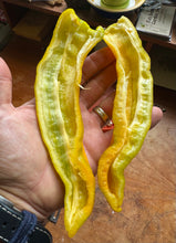Pepper (Doux long d'Antibes Pepper)