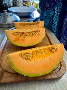Melon (Charentais Melon)