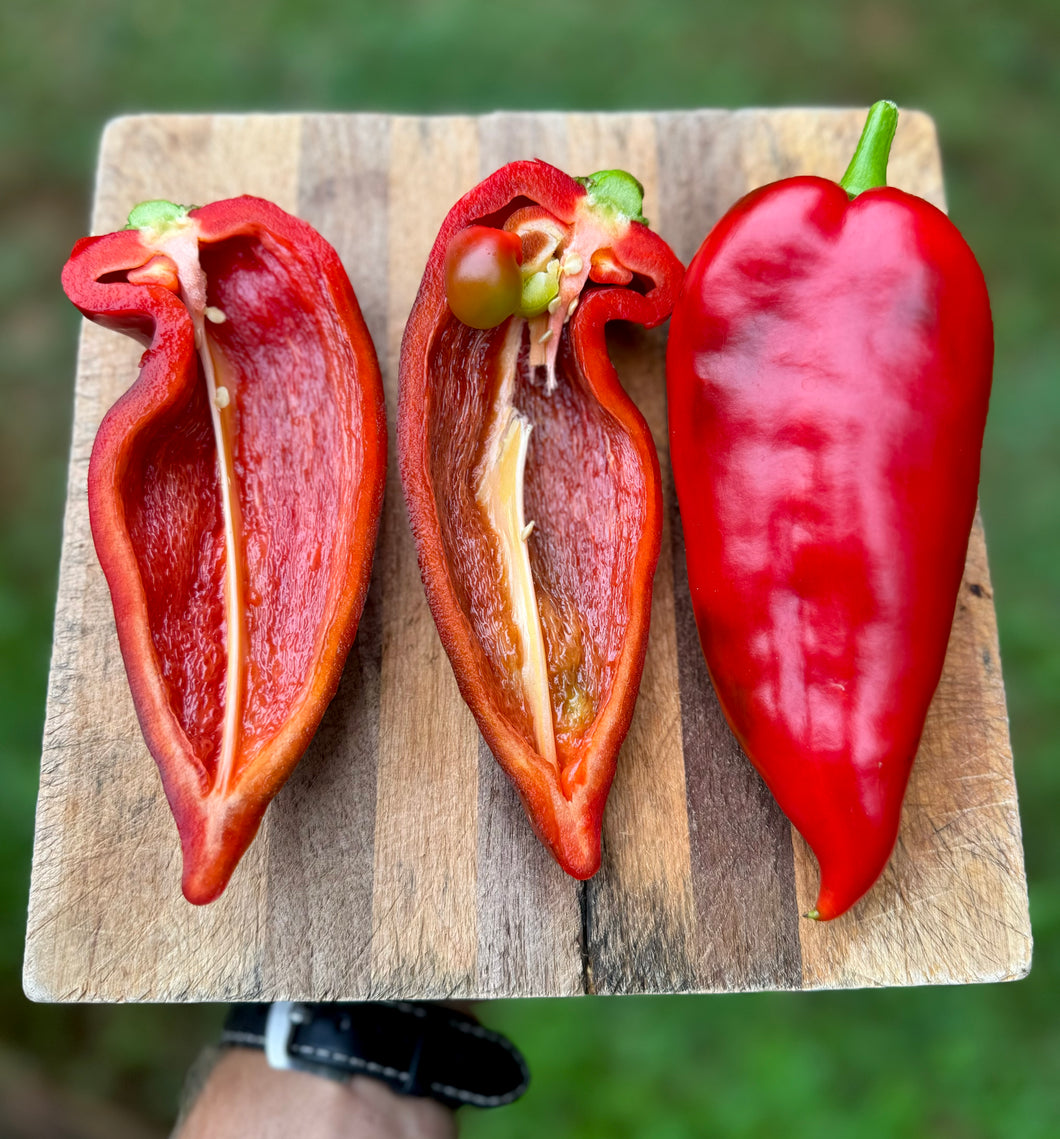 Pepper (Sweet Ajvarski Pepper)