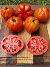 Tomato (Italian Assisi Tomato)