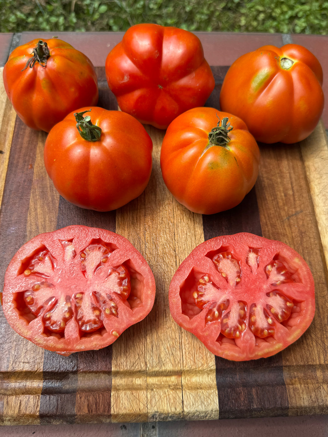 Tomato (Italian Assisi Tomato)