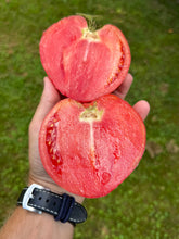 Tomato (Hurricane Helene Tomato)