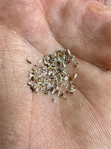 Yarrow