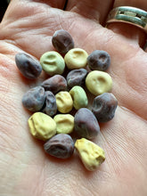 Snow Peas (Big Packet Mix)