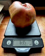 Tomato (Red Trash Panda Tomato)