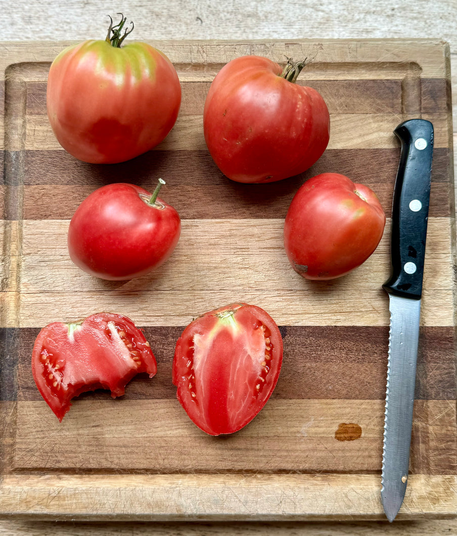 Tomato (Rose de Cagnolle Tomato)