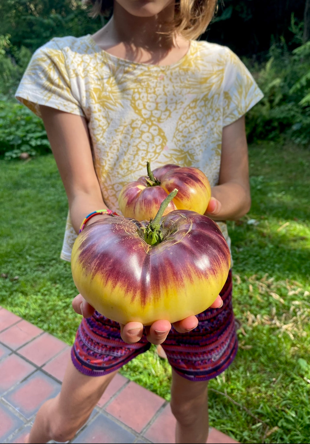 Tomato (Sart Roloise)