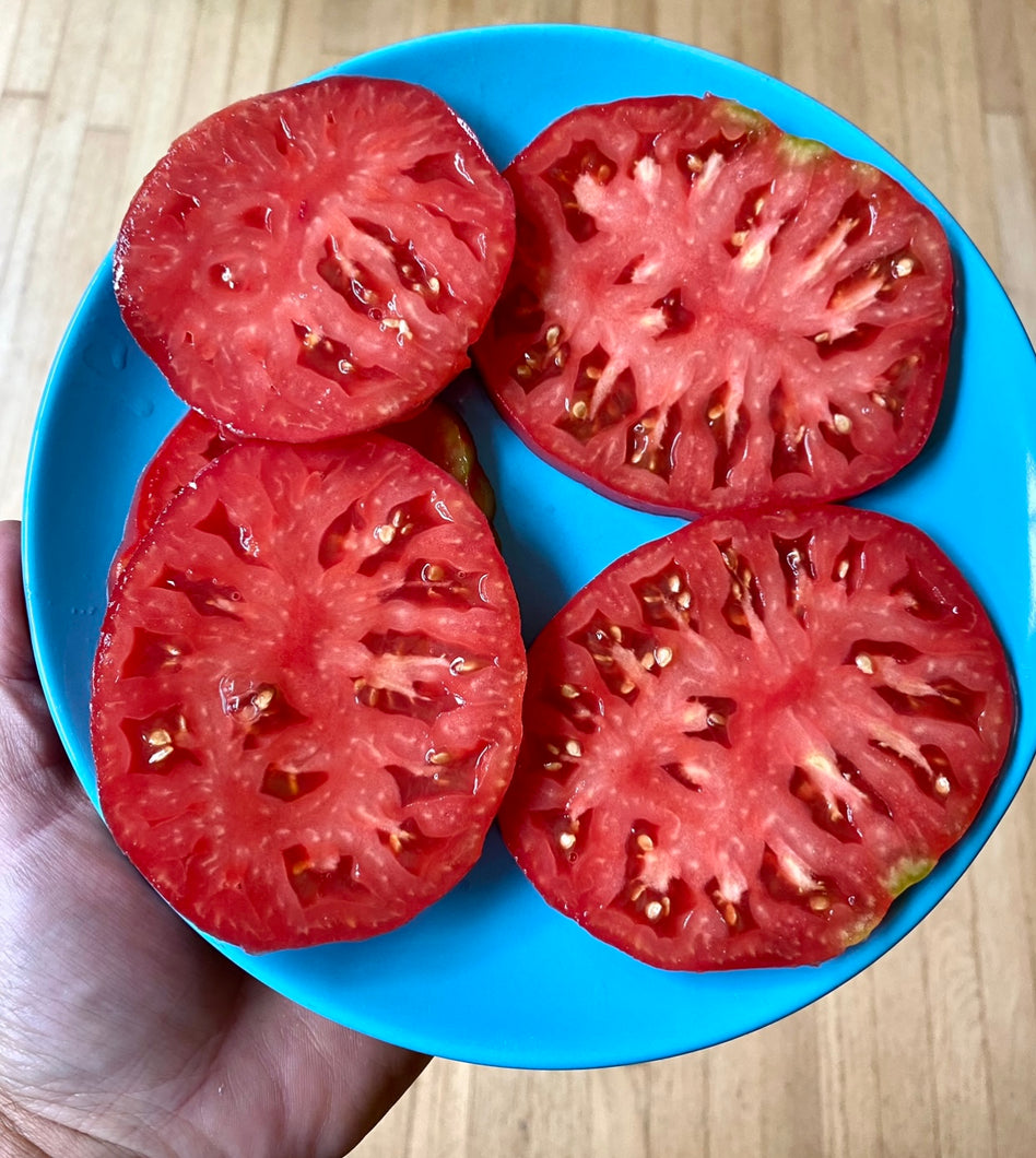 Tomato (Classic Beefsteak Tomato)