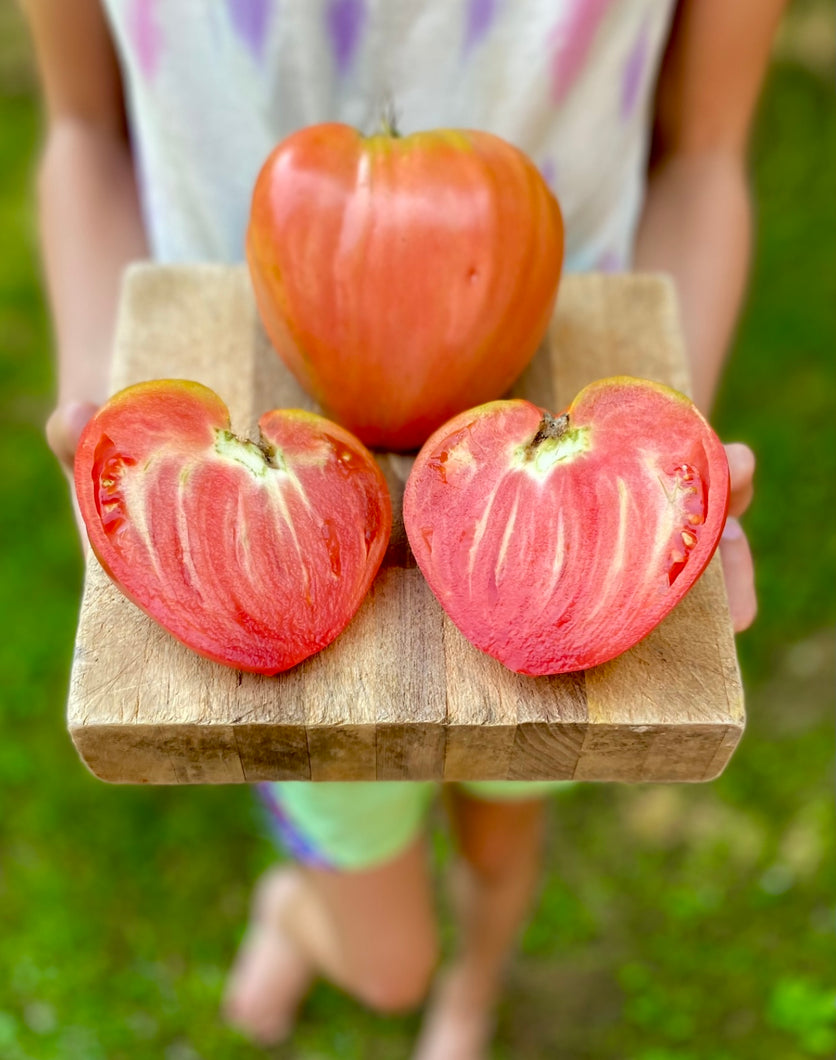 Tomato (Holy Myrrhbearer Tomato)