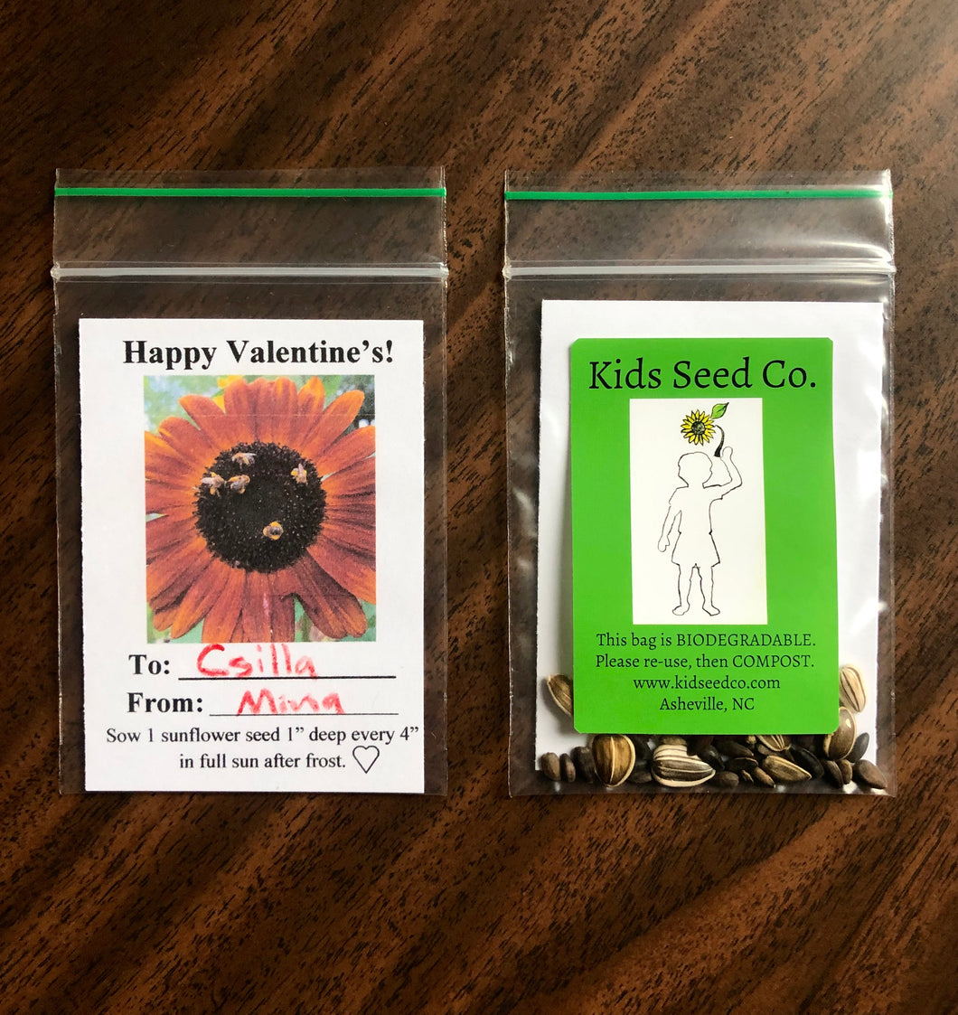 Valentine’s Day Sunflower Seed Pack