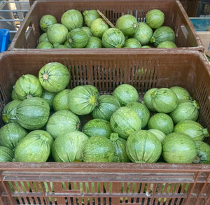 Squash (Ronde de Nice)