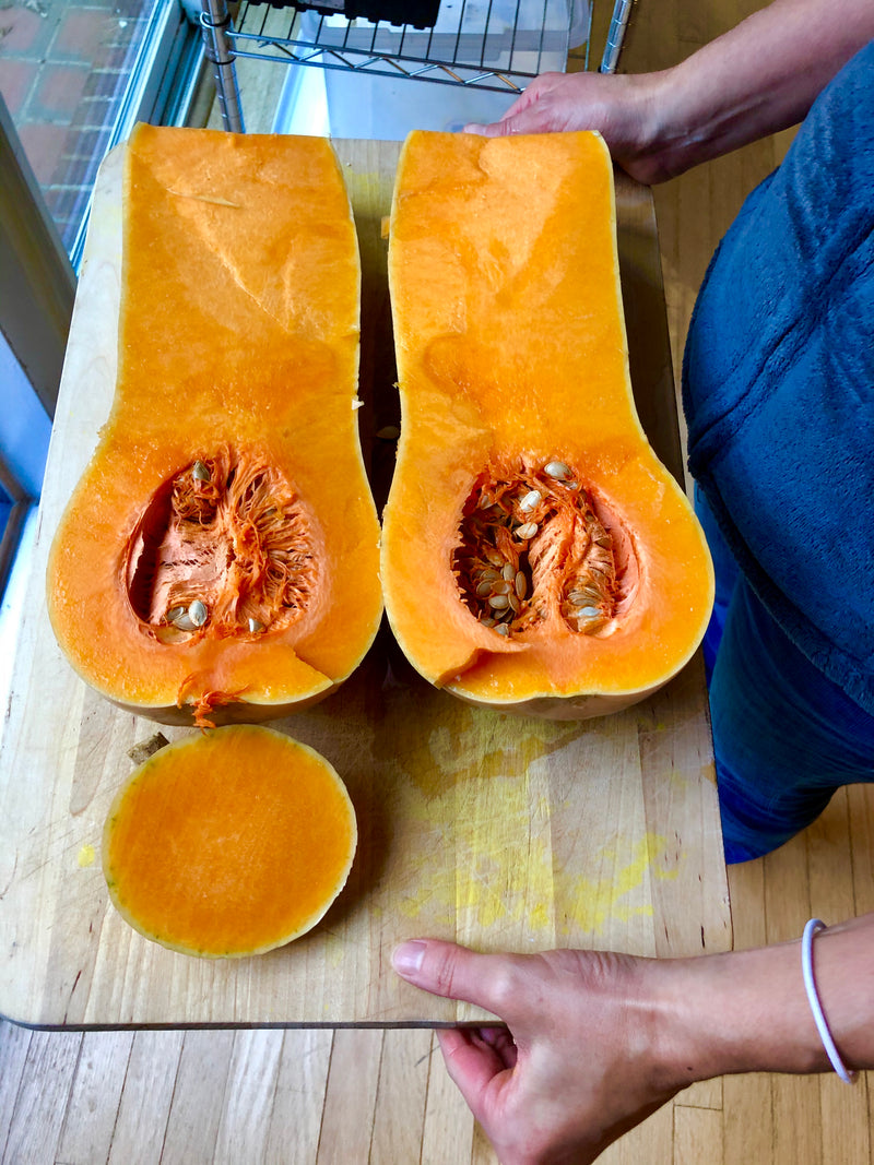 Squash (Butternut) – Kids Seed Co.