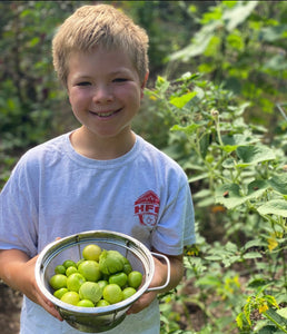 Tomatillo (Chiapas)