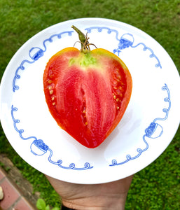 Tomato (Coeur De Boeuf)