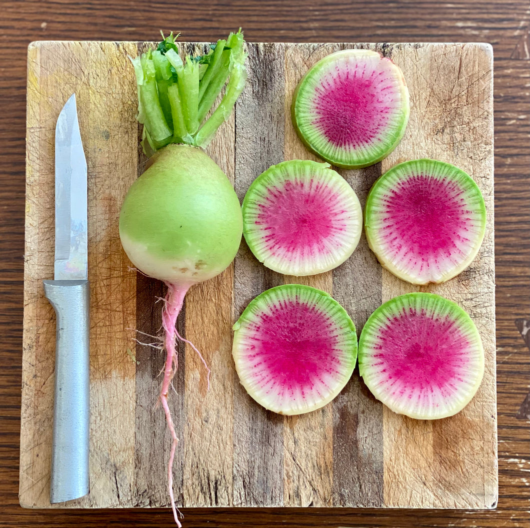 Radish (Watermelon Radish)